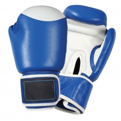 Boxing gloves